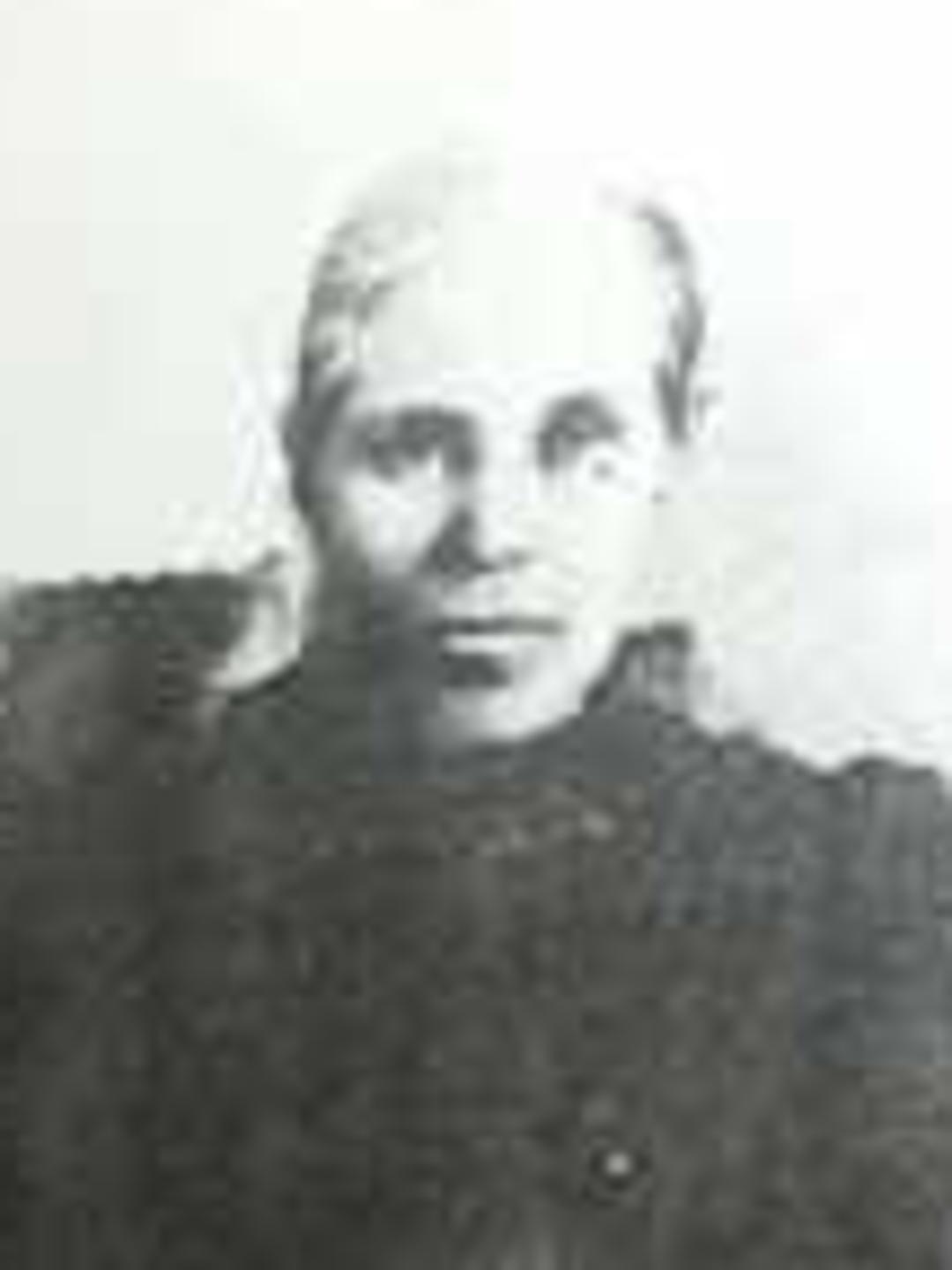 Amelia Chapman (1837 - 1923) Profile